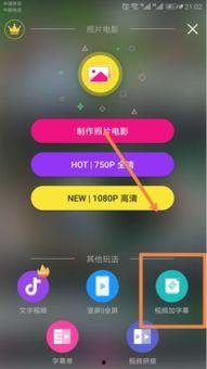 国产中文字幕手机视频